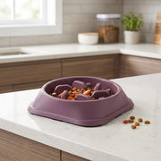 Pet slow feeding bowl for dogs and cats at home