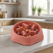 Interactive slow food bowl for dogs and cats