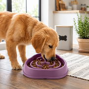 Dog and cat feeding bowl with slow feeding design