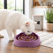 Slow feeder pet bowl for controlled dog and cat meals