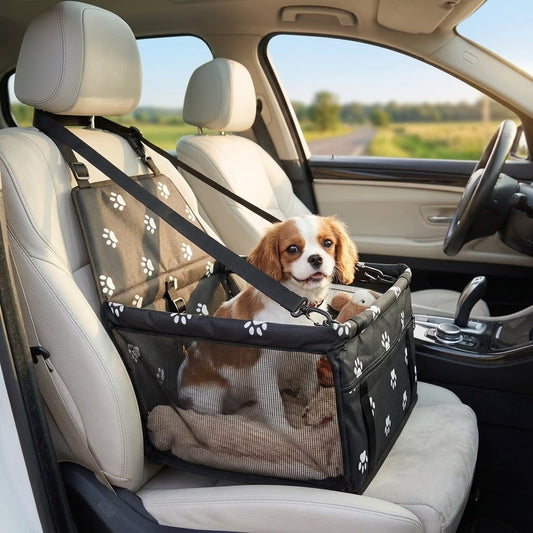 Raised dog car seat for safe and comfortable travel