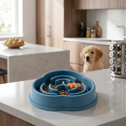 Cat slow feeder bowl for slower everyday feeding